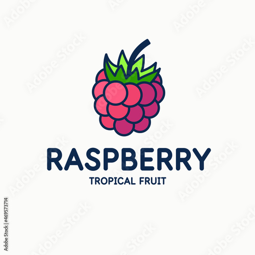 Illustration of a raspberry in a modern style. Isolated image on a light background. Vector icon.