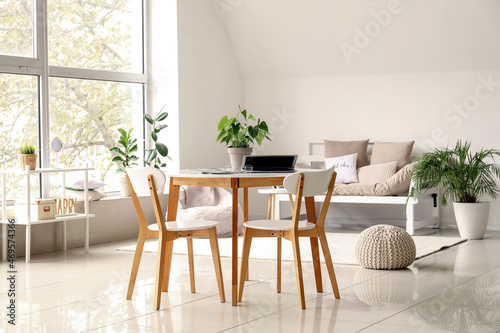 Interior of light living room with table, chairs and houseplants