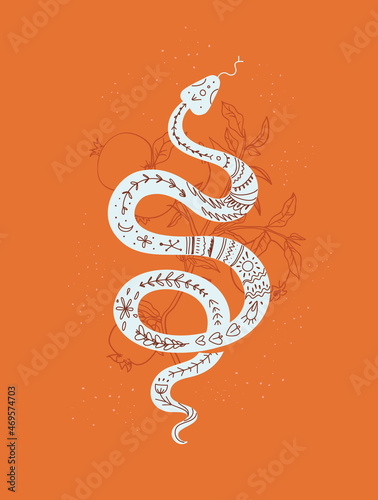 Mystic print with snake and pomegranate branch, vector illustration in trendy linear and silhouette minimal style.