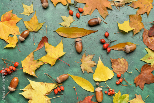 Autumn leaves, berries and acorns on color background, closeup