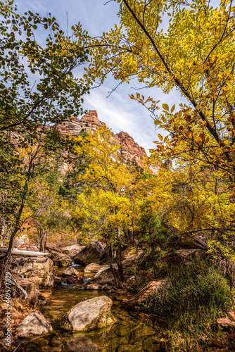 Gorgous landscape of Left Fork Trail to the Subway gorge  Zion NP