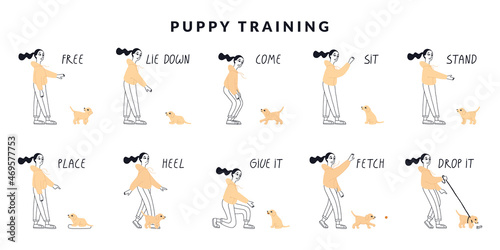 Set of girl training puppy. Essential dog training hand signal. Collection of happy labrador having fun. Good trainer outdoor. Isolated vector illustration in cartoon style. Vector illustration.