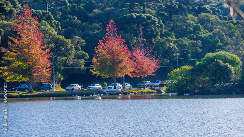 Autumn on the lake