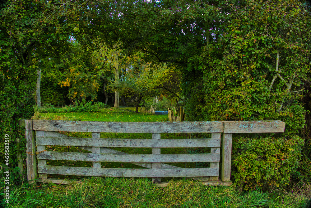Weathered old traditional wooden farm gate, flanked by green trees and shrubs, offers a see-through to a beautiful meadow, flanked by trees.
