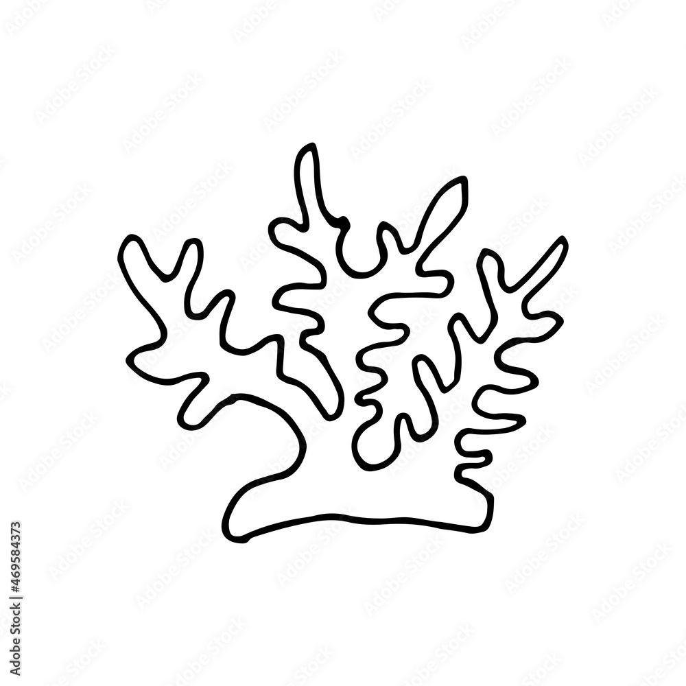 Doodle style sea coral reef. Invertebrates are an animal of the seabed. Coral polyp skeleton. Aquarium decor. Algae of the ocean. Hand drawn thin line art vector illustration. Isolated simple element.