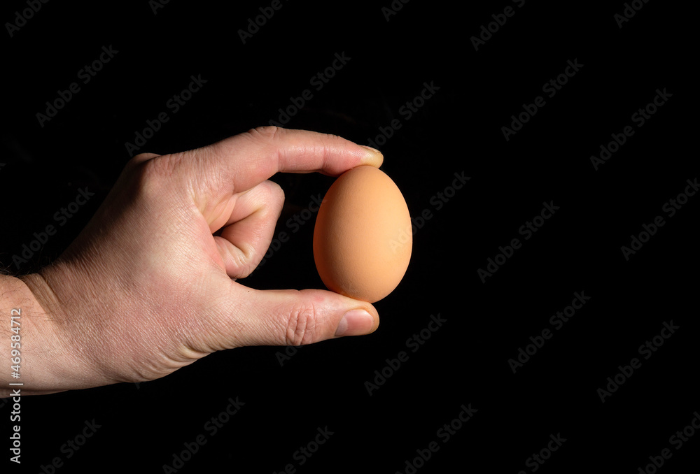 Hand holding brown chicken egg on black isolated background. Free advertising space