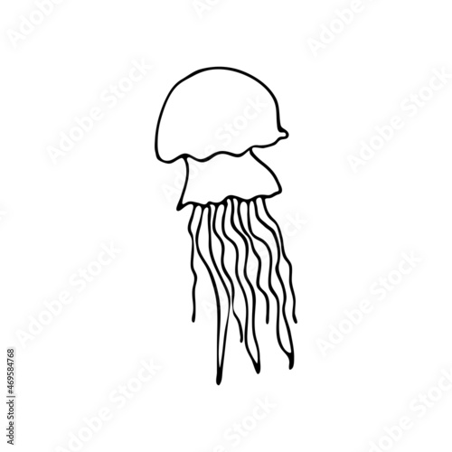 Doodle sea jellyfish. Inhabitant of the coral reef. Invertebrate animal of the ocean, seabed, oceanarium. Hand drawn thin line art vector illustration. Isolated simple element.