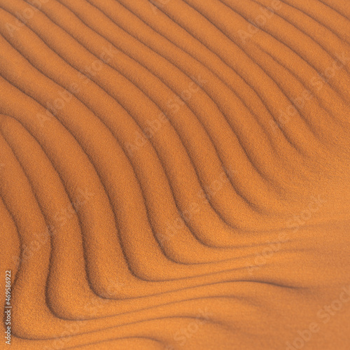 Ripples formed by the wind in the sand dunes of the desert in Saudi Arabia 