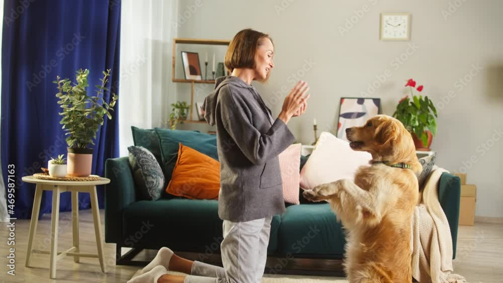 Young woman training dog in living-room, golden retriever standing on back legs, doing commands. Female animal trainer having fun together with lovely pet. Handler exercising labrador and feeding. Young woman training dog in living-room, golden retriever standing on back legs, doing commands. Female animal trainer having fun together with lovely pet. Handler exercising labrador and feeding.