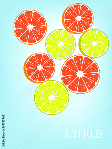 Illustration avec des tranches de citrons et de pamplemousses 