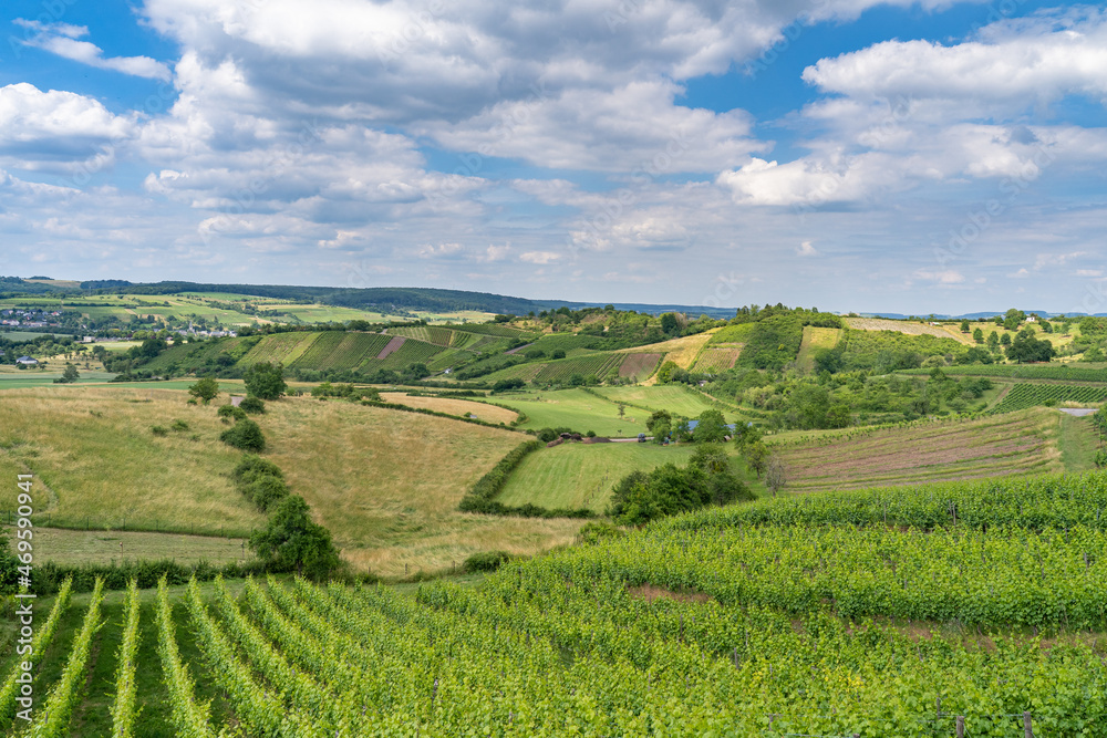 Vineyard in region Réimech, Luxembourg
