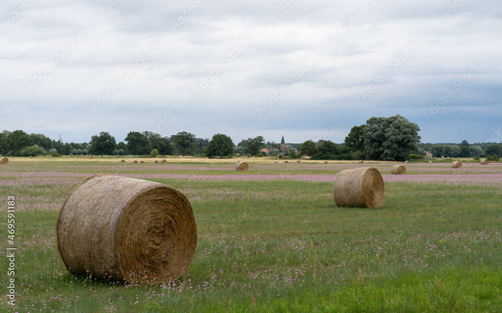 Hay bales in the field, Bad Wilsnack, Germany