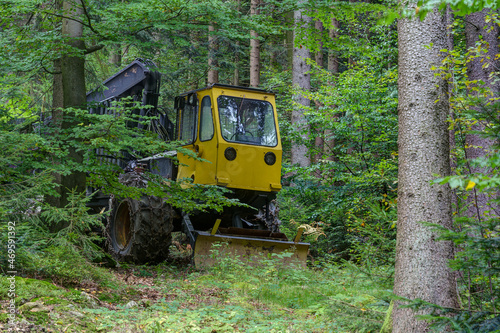 The monster in the forest, a wood harvesting machine stands between the trees and stares out between the leaves with its round lights. © BIB-Bilder