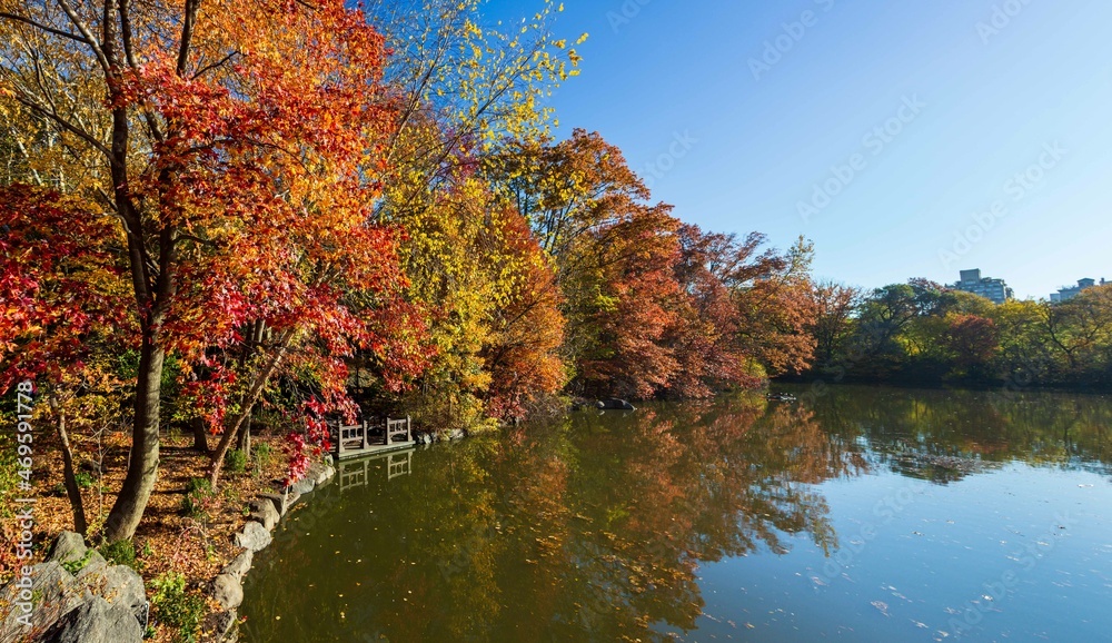 Central Park in fall colors autumn season in new york city 