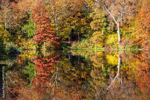 Central Park in fall colors autumn season in new york city 