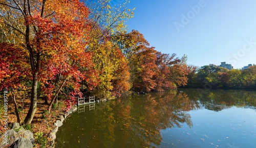 Central Park in fall colors autumn season in new york city 