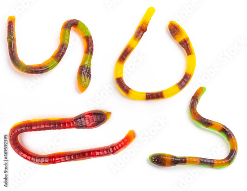 Snake jelly candies. Isolated on white background.