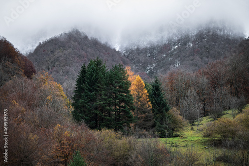 autumn landscape in the mountains