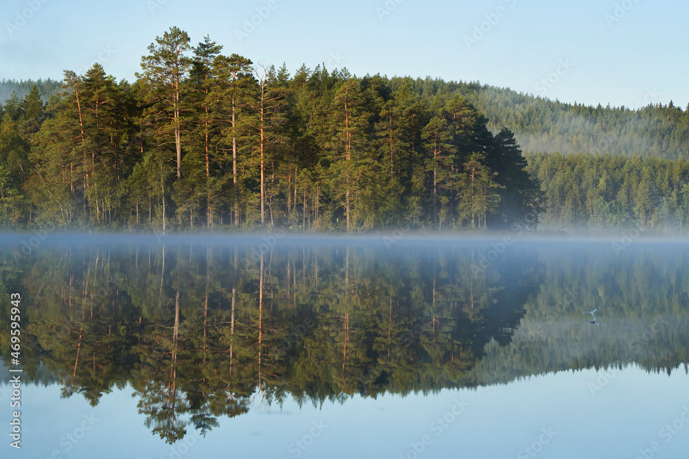 A lake in the morning mist