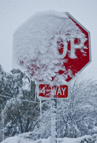 stop sign in snow © alma