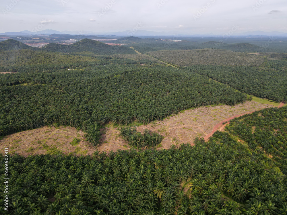 Aerial view land clearing at palm oil farm in Malaysia