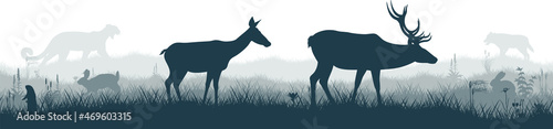 Seamless panorama of the prarie with deers, puma, rabbit, Prairie dog and gray wolf