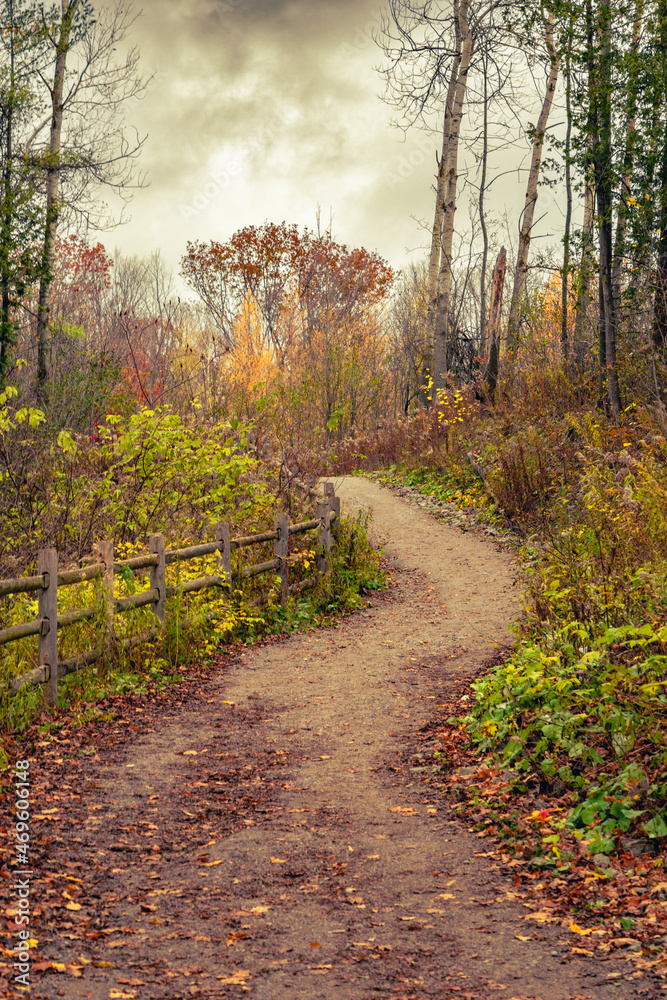 Fototapeta premium Fall end at Jefferson Forest