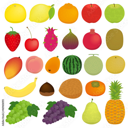 果物のイラストセット