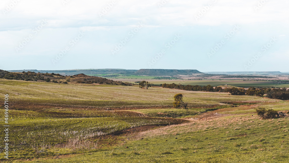 An Australian Winter Landscape