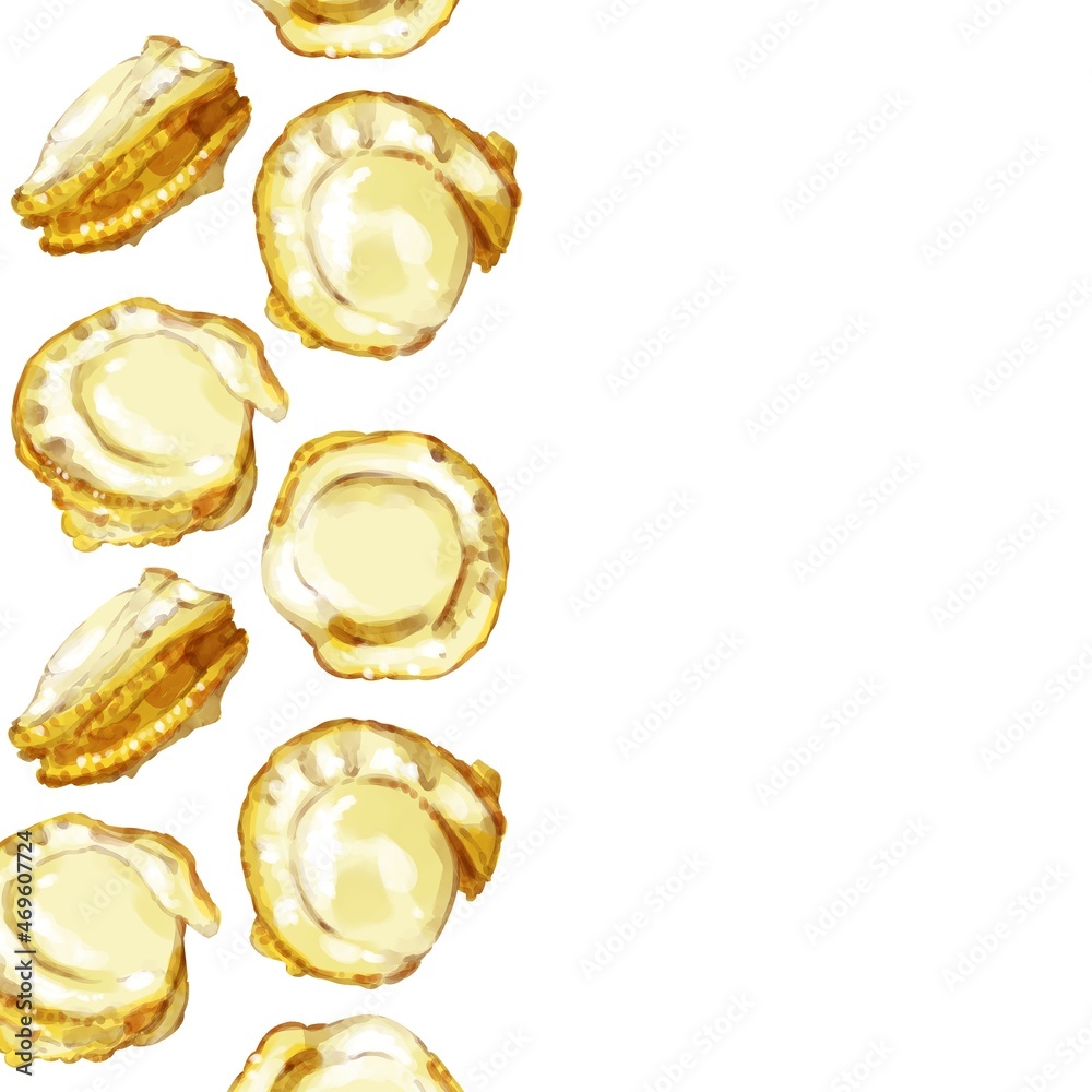 手描き水彩の帆立イラスト正方形フレーム 左 Stock Illustration Adobe Stock