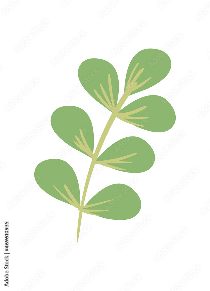 branch with oval leaves branch with oval leaves