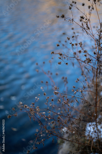reflection in water