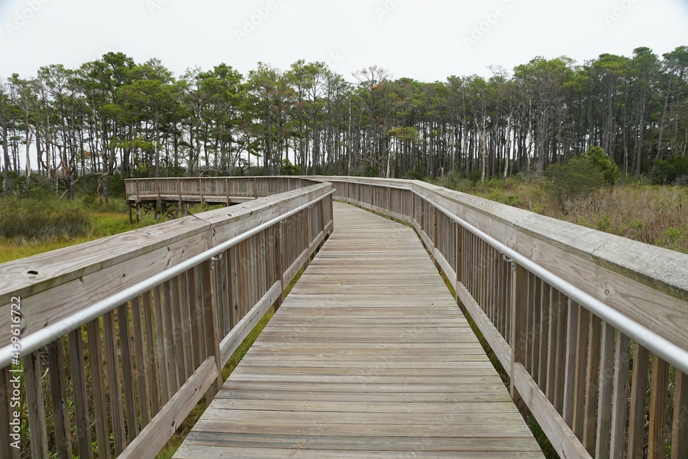 The wooden boardwalk near Assateague Island, Maryland, U.S.A
