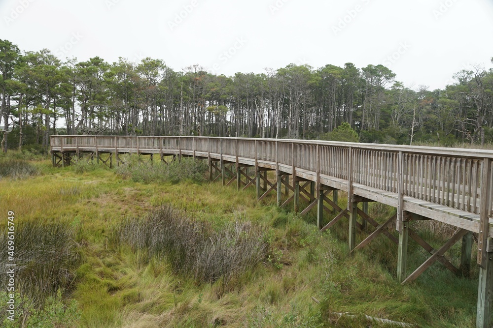 The wooden boardwalk near Assateague Island, Maryland, U.S.A