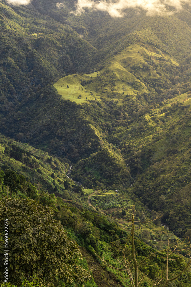 Naklejka premium vertical shot of a green hill surrounded by tropical forest and coffee plantations with a small river in Perez Zeledón in Costa Rica