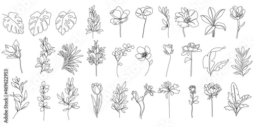 Continuous Line Drawing Set Of Plants Black Sketch of Flowers Isolated on White Background. Flowers One Line Illustration. Minimalist Prints Set. Vector EPS 10. © Наталья Дьячкова