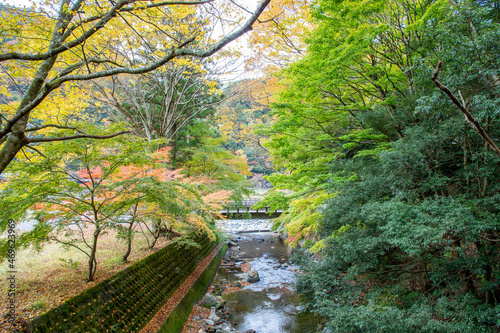 川風景