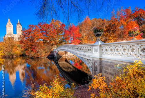 New York City Autumn