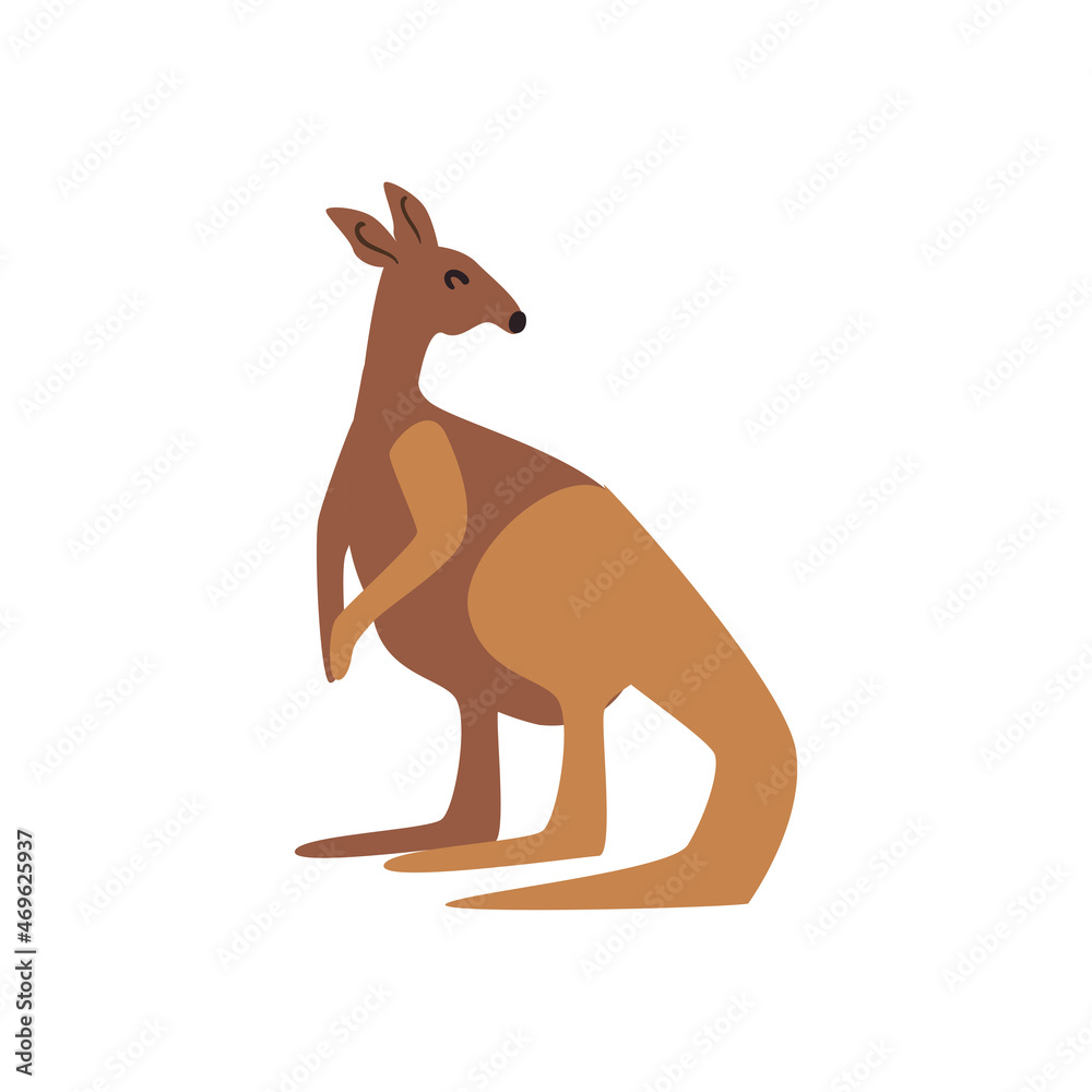 pretty kangoroo design