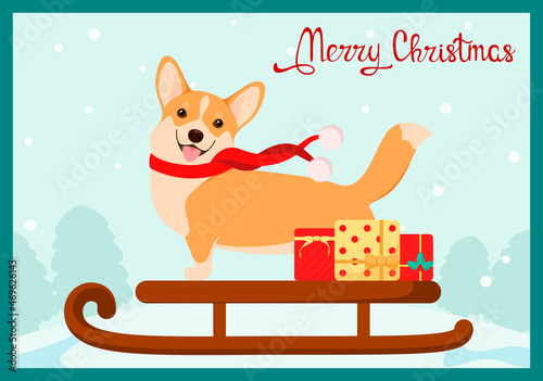 Funny corgi on a sled with gifts. Christmas card. Cartoon design.
