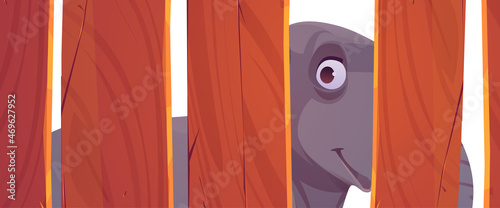 Elephant looks through wooden fence in zoo, circus or safari park. Vector cartoon illustration of cute big animal behind enclosure of wood boards isolated on white background
