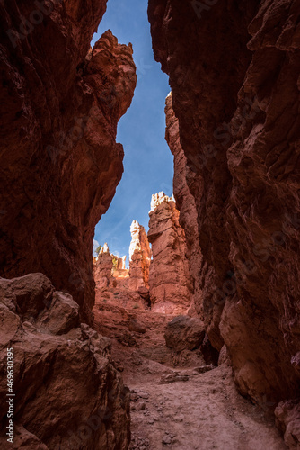 Iconic Wall Street gorge in the Bryce Canyon valley in Utah