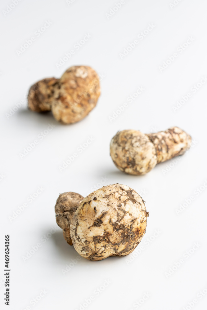 Freshly picked Matsutake mushrooms isolated on white. Tricholoma