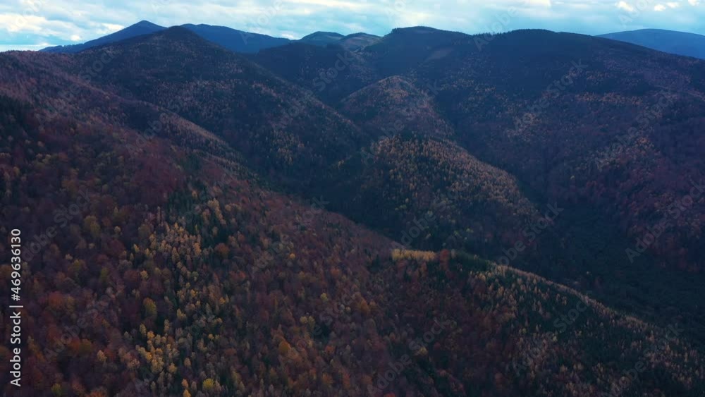 Autumn In Carpathian Autumn In Carpathian