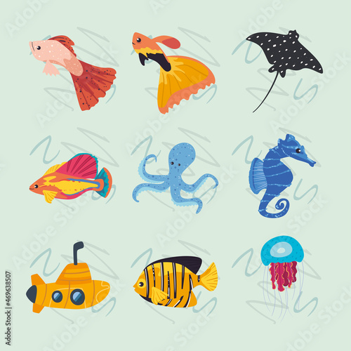 nine sea life fish