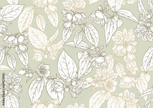 Jasmine Seamless pattern, background. Outline vector illustration. In botanical style. © Elen Lane
