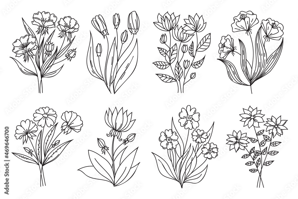 Fototapeta premium Black outline, contour flowers, line art design. Hand drawing style, doodle art, black thin line flowers isolated on white background.. Linear floral set. 