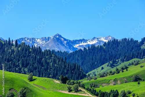 Nalati grassland with snow mountain scenery in Xinjiang,China.