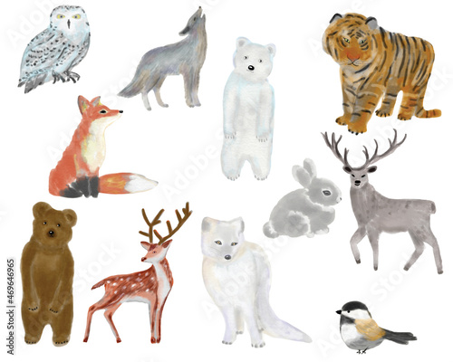 Forest animals and birds. Owl  wolf  bear  tiger  fox  hare  deer  roe deer  arctic fox  bird. Congratulatory illustration. Design for a holiday. Illustration for postcards