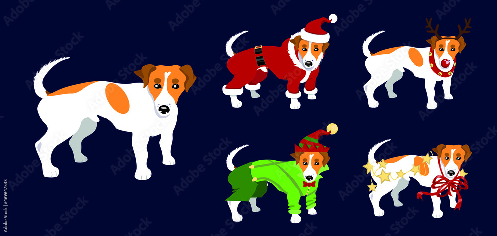 Vector illustration of a dog in a Christmas costume, Idea for a pattern and a postcard, on a dark background